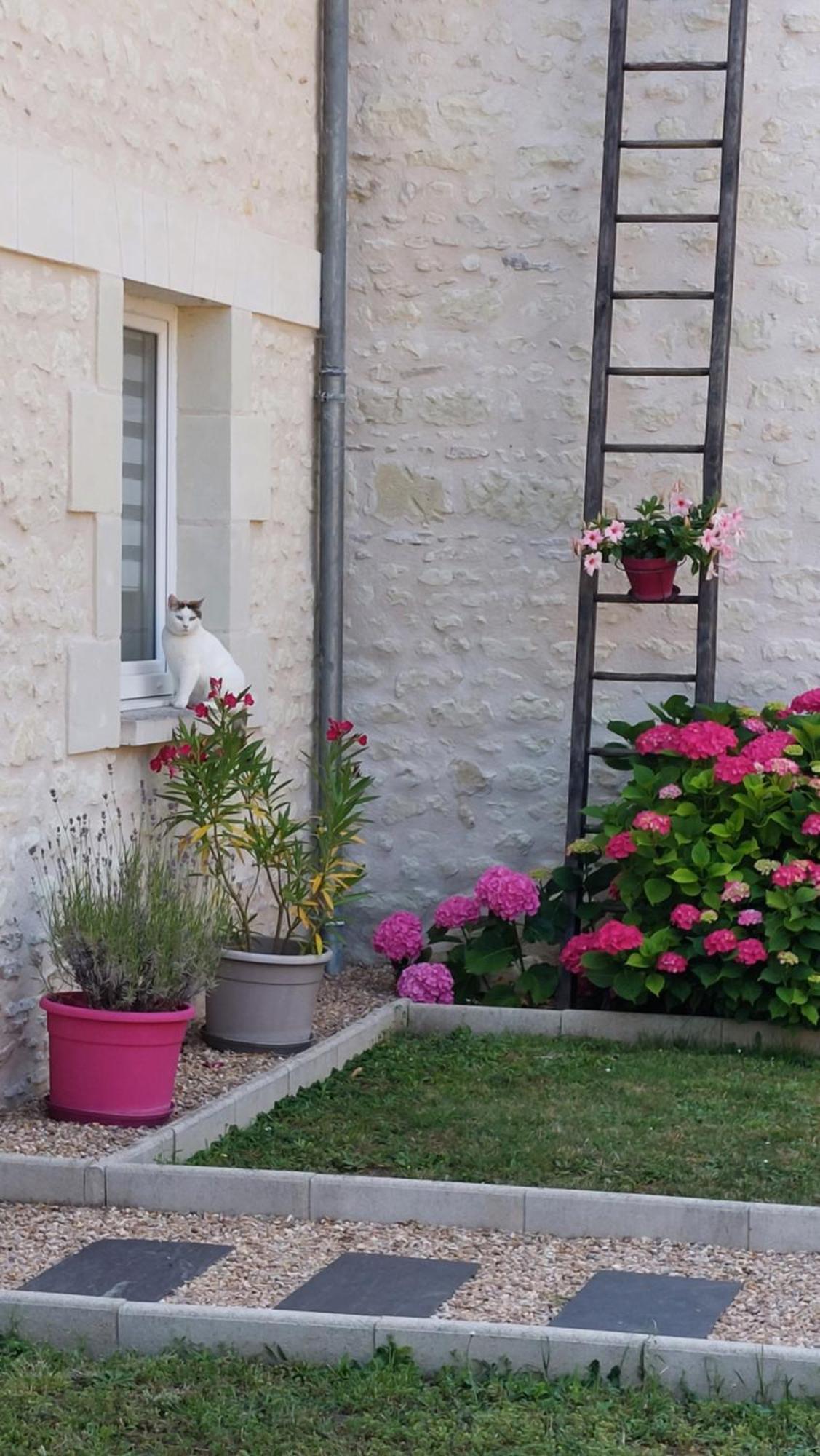 Gite Amanala Poitou Saint-Genest-d'Ambiere エクステリア 写真